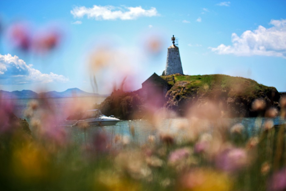 Macro Ynys Llanddwyn