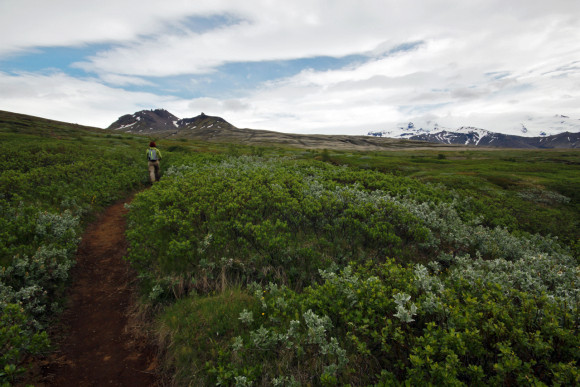Gina heading up Skaftafellsheiði 