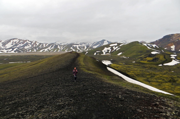 Iest along the ridge